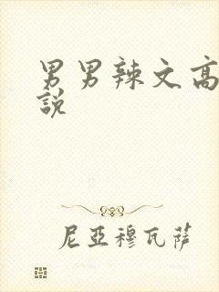 男男辣文高h小说