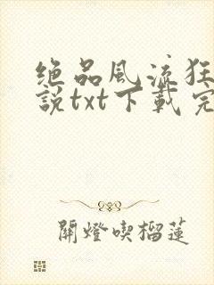 绝品风流狂医小说txt下载完整版