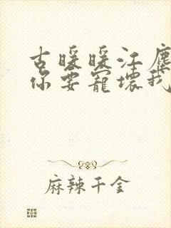 古暖暖江尘御叔你要宠坏我了封面