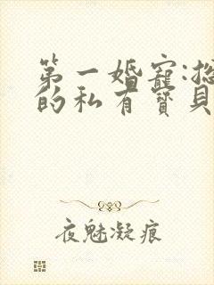 第一婚宠:总裁的私有宝贝