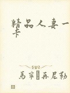 精品人妻一区不卡