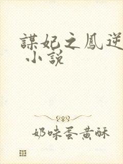 谋妃之凤逆天下 小说