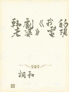 韩剧《我的邻居老婆》电视剧