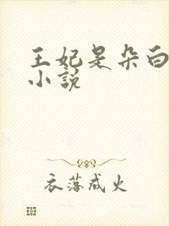 王妃是朵白莲花小说