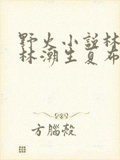 野火小说林晚晚林潮生夏布多昂笔趣阁