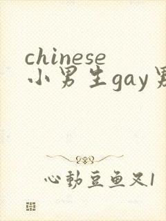 chinese小男生gay男男网站封面