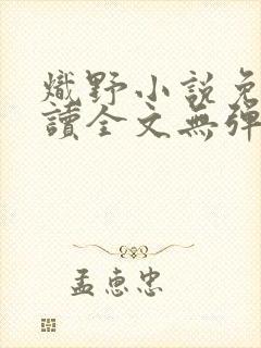 炽野小说免费阅读全文无弹窗
