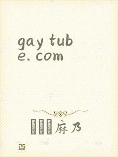 gay tube. com封面