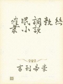 催眠调教丝袜奴隶小说