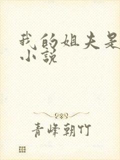 我的姐夫是太子小说