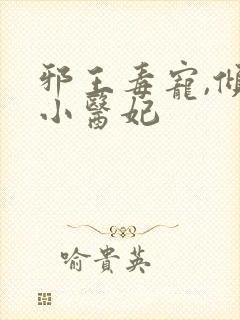 邪王毒宠,倾城小医妃