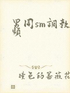 男同sm调教视频