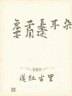 兔子长耳朵的主要用途