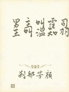 男主叫霍司砚女主叫温知羽的小说