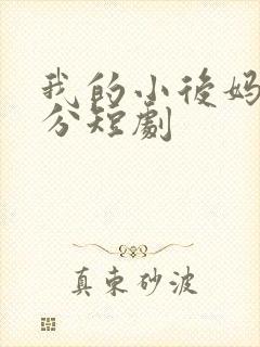 我的小后妈很过分短剧
