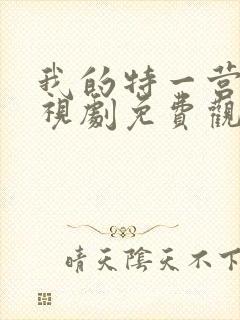 我的特一营 电视剧免费观看全集