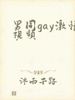 男同gay激情视频