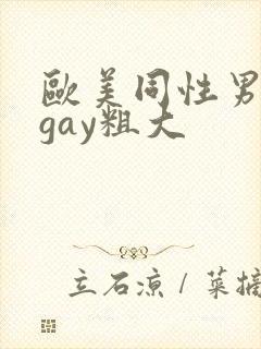 欧美同性男军官gay粗大