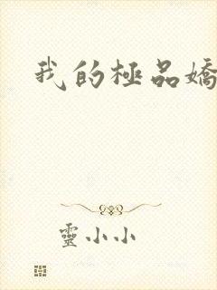 我的极品娇妻