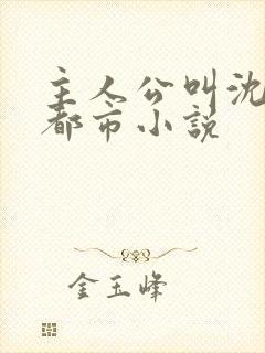 主人公叫沈淮的都市小说