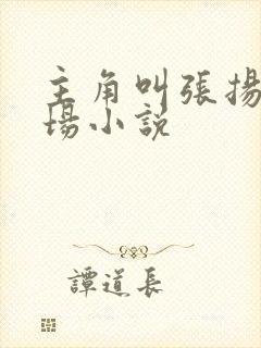 主角叫张扬的官场小说