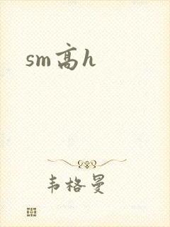 sm高h