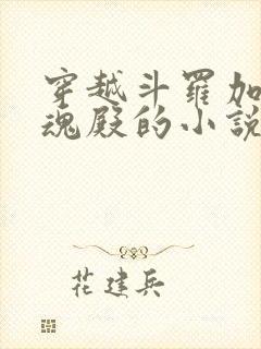 穿越斗罗加入武魂殿的小说封面