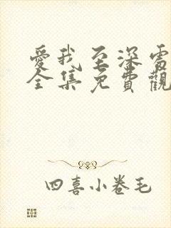 爱我至深处漫画全集免费观看高清