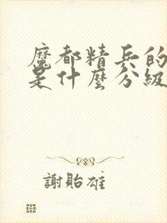 魔都精兵的奴隶是什么分级