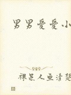 男男爱爱小说