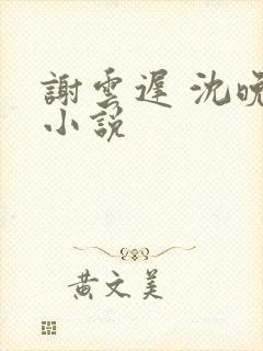 谢云迟 沈晚梨小说