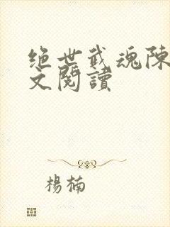 绝世武魂陈枫全文阅读