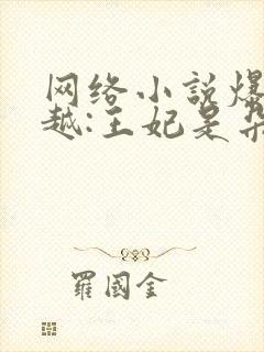 网络小说爆笑穿越:王妃是朵白莲花