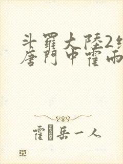 斗罗大陆2绝世唐门中霍雨浩封面