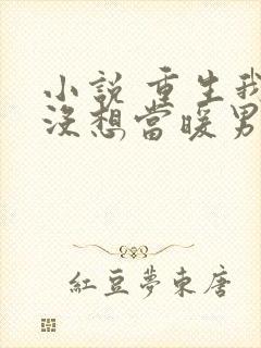 小说 重生我真没想当暖男封面