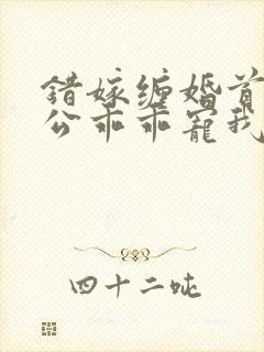 错嫁缠婚首富老公乖乖宠我