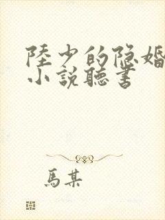 陆少的隐婚罪妻小说听书