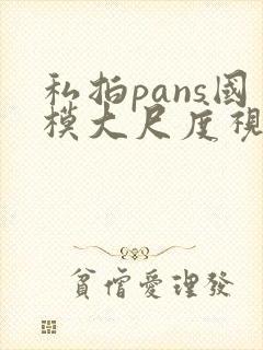 私拍pans国模大尺度视频在线