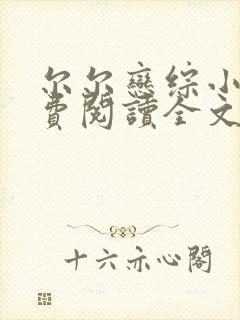 尔尔恋综小说免费阅读全文