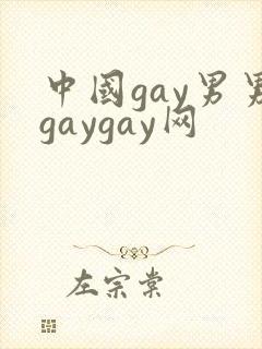 中国gay男男gaygay网