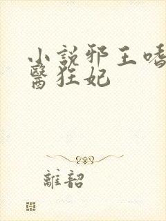 小说邪王嗜宠鬼医狂妃封面