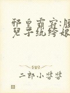 邪皇霸宠:腹黑儿子纨绔娘亲