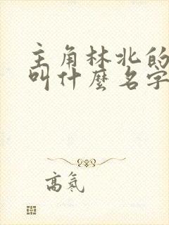 主角林北的小说叫什么名字