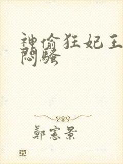 神偷狂妃王爷太闷骚