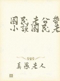 国民老公带回家小说国民老公带回家