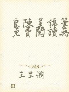 良陈美锦笔趣阁免费阅读无弹窗