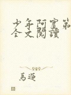 少年阿宾第二部全文阅读封面