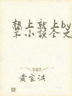 想上就上by迷羊小说全文免费阅读