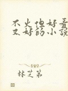 不火但好看文笔又好的小说封面