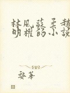 林风苏柔赵刚周明权的小说